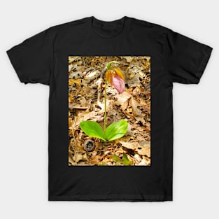 Pink Lady Slippers T-Shirt